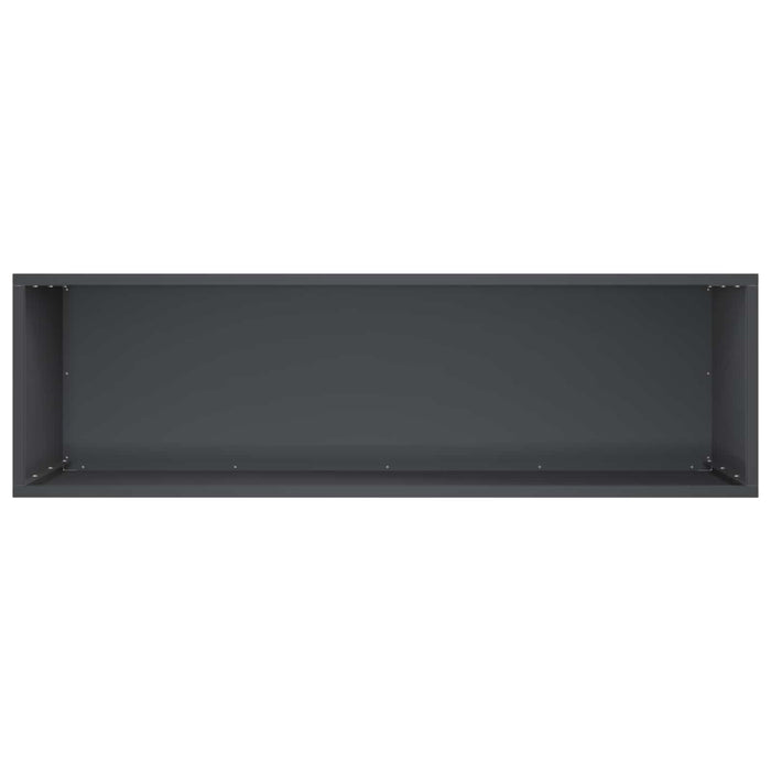 Vază pentru Grădină Antracit 100 x 30 x 40 cm WALTI