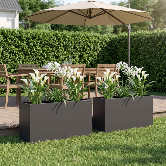 Vază pentru Grădină 2 buc. Negru 100 x 30 x 50 cm WALTI