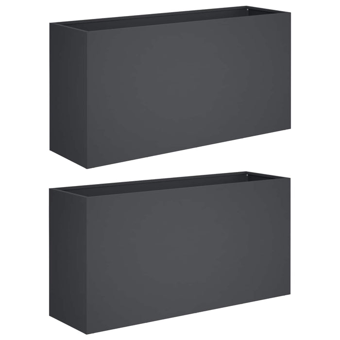 Vază pentru Grădină 2 buc. Antracit 100 x 30 x 50 cm WALTI