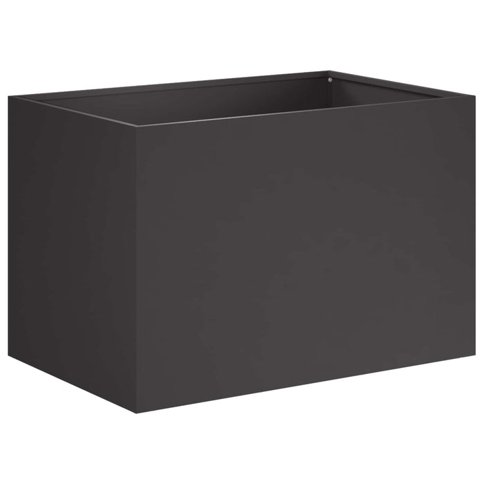 Vază pentru Grădină Negru 50 x 40 x 40 cm Oțel laminat la rece WALTI