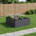 Vază pentru Grădină Antracit 100 x 100 x 50 cm - WALTI WALTI