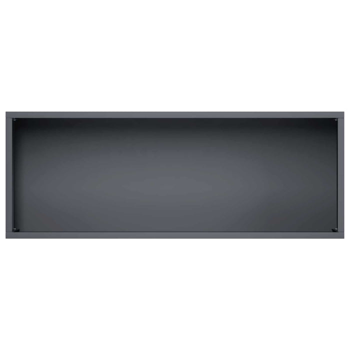 Vază pentru Grădină Antracit 80 x 30 x 49 cm WALTI