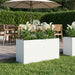  WALTI