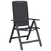 Scaune de grădină rabatabile 2 pcs Negru 58 x 71 x 112 cm - WALTI WALTI