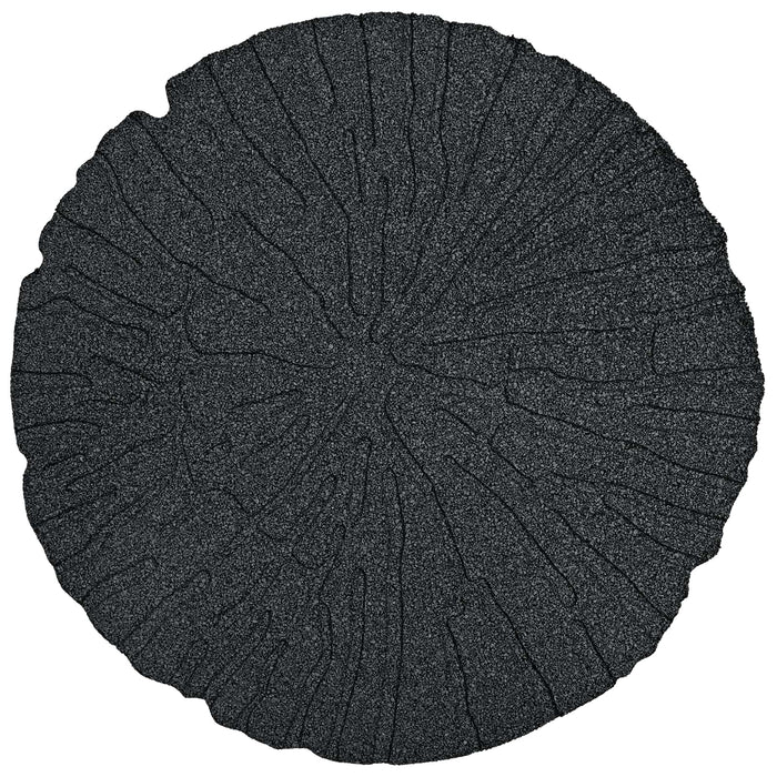 Piatra de pași 6 pcs Negru Ø 45 x 1,8 cm Cauciuc - WALTI WALTI