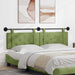 Cap de pat suspendat Verde deschis 170 x 55 x 5 cm Catifea - WALTI WALTI