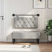 Cap de pat suspendat Gri deschis 100 x 55 x 7 cm Catifea - WALTI WALTI