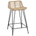 Scaun de bar 2 pcs natural 44 x 45 x 76 cm Rattan și oțel - WALTI WALTI