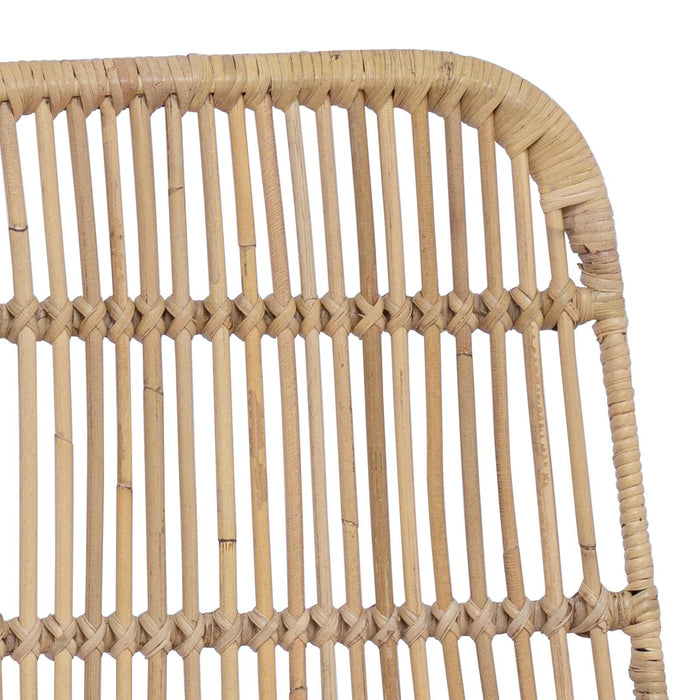 Scaun de dining 2 pcs natural 41 x 55 x 85 cm Rattan și oțel - WALTI WALTI