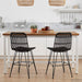 Scaun de dining 2 pcs Negru 41 x 55 x 85 cm Rattan și oțel - WALTI WALTI