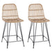 Scaun de bar 2 pcs natural 44 x 54 x 96 cm Rattan și oțel - WALTI WALTI