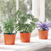 Vaza pentru flori 100 pcs Terracota Ø 15 x 12.5 cm Plastic - WALTI WALTI