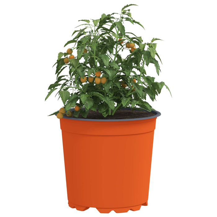 Vaza pentru flori 50 pcs Terracota Ø 15 x 13 cm Plastic - WALTI WALTI