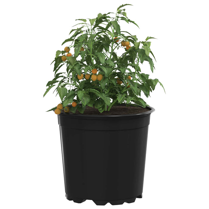 Vaza pentru flori 200 pcs Negru Ø 15 x 13 cm Plastic - WALTI WALTI