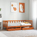 Daybed cu headboard 3 pcs Maroniu cerat Lemn de pin masiv - WALTI WALTI