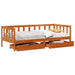 Daybed cu headboard 3 pcs Maroniu cerat Lemn de pin masiv - WALTI WALTI