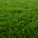 Iarbă artificială Verde 1 x 8 m / 50 mm PP & PE - WALTI WALTI