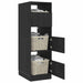 Dulap de rufe Stejar Negru 50 x 68 x 162 cm Lemn compozit - WALTI WALTI
