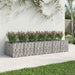 Pat ridicat din gabion 2 pcs Argintiu - WALTI WALTI
