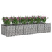 Pat ridicat din gabion 2 pcs Argintiu - WALTI WALTI