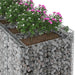 Pat ridicat din gabion 3 pcs Argintiu - WALTI WALTI