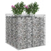 Pat ridicat din gabion 2 pcs Argintiu - WALTI WALTI