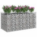 Pat ridicat din gabion 2 pcs Argintiu - WALTI WALTI