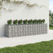 Pat ridicat din gabion 4 pcs Argintiu - WALTI WALTI