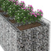 Pat ridicat din gabion 4 pcs Argintiu - WALTI WALTI