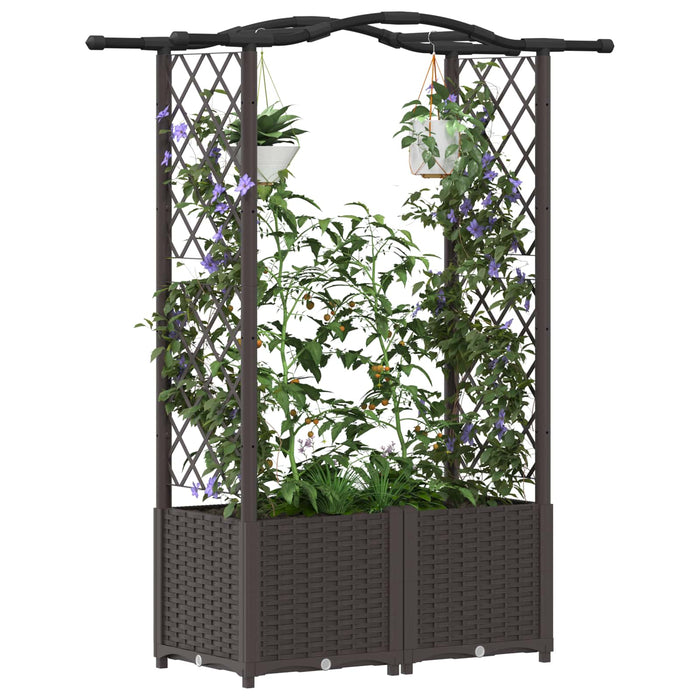 Pat Ridicat cu Trellis și Acoperiș Maro 125 x 40 x 138 cm PP WALTI