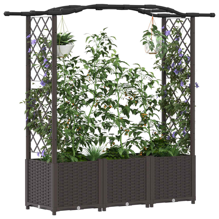 Pat Ridicat cu Trellis și Acoperiș Maro 164 x 40 x 142 cm PP WALTI