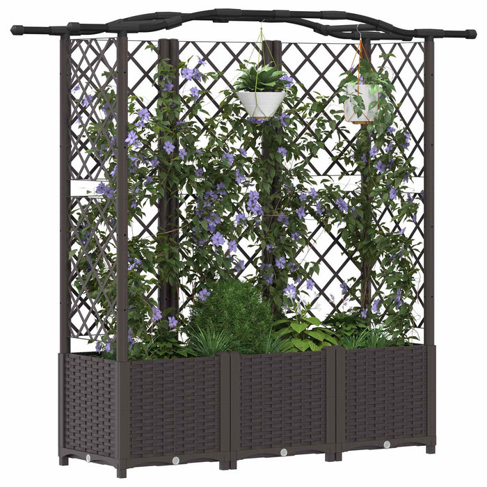 Pat Ridicat cu Trellis și Acoperiș Maro 163 x 40 x 141 cm PP WALTI