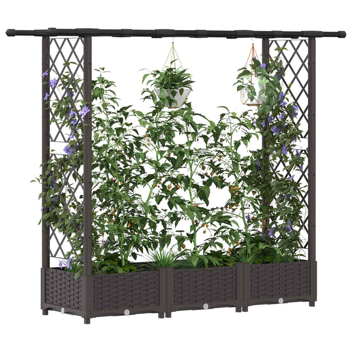 Pat Ridicat cu Trellis și Acoperiș Maro 164 x 40 x 123 cm PP WALTI