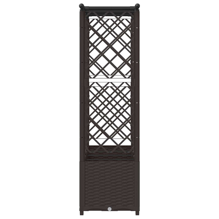 Pat Ridicat cu Trellis și Acoperiș Maro 203 x 40 x 138 cm PP WALTI