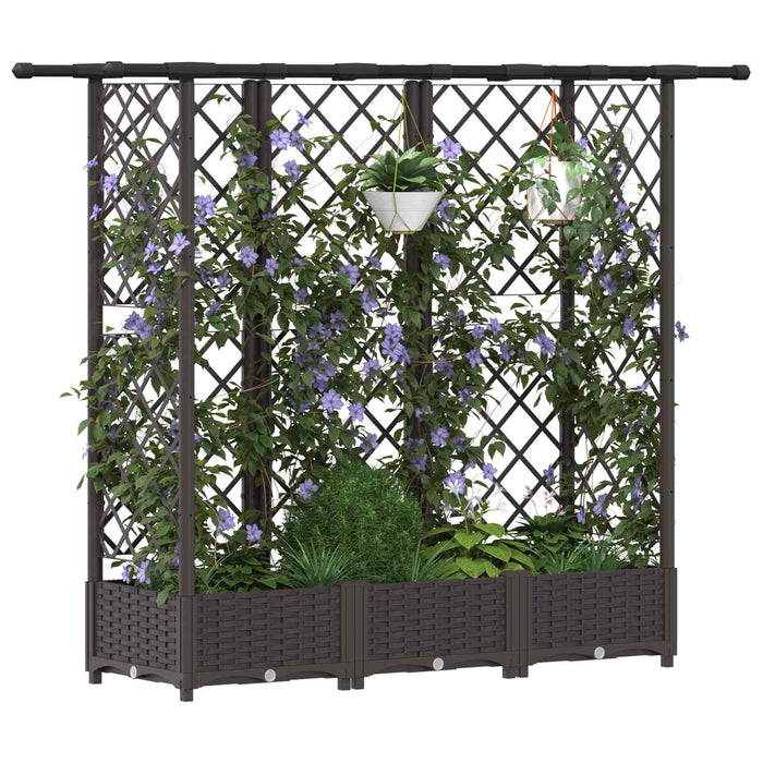 Pat Ridicat cu Trellis și Acoperiș Maro 164 x 40 x 123 cm PP WALTI