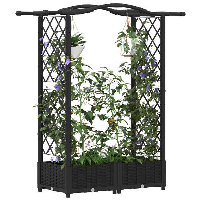 Pat Ridicat cu Trellis și Acoperiș Negru 124 x 40 x 125 cm PP WALTI