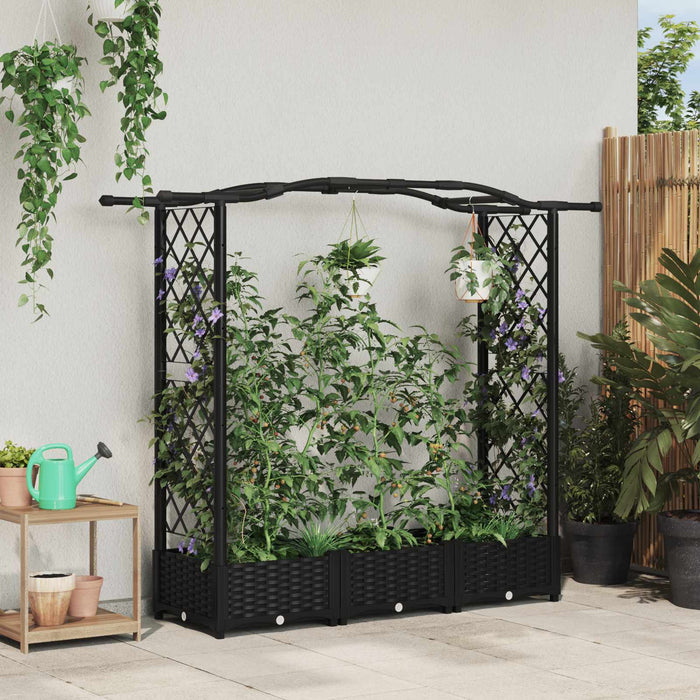 Pat Ridicat cu Trellis și Acoperiș Negru 169 x 40 x 125 cm PP WALTI