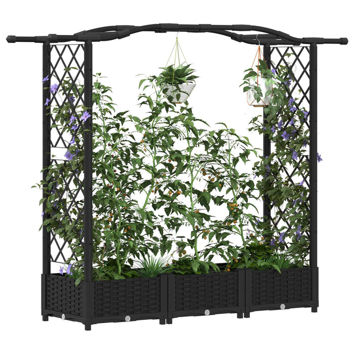 Pat Ridicat cu Trellis și Acoperiș Negru 169 x 40 x 125 cm PP WALTI