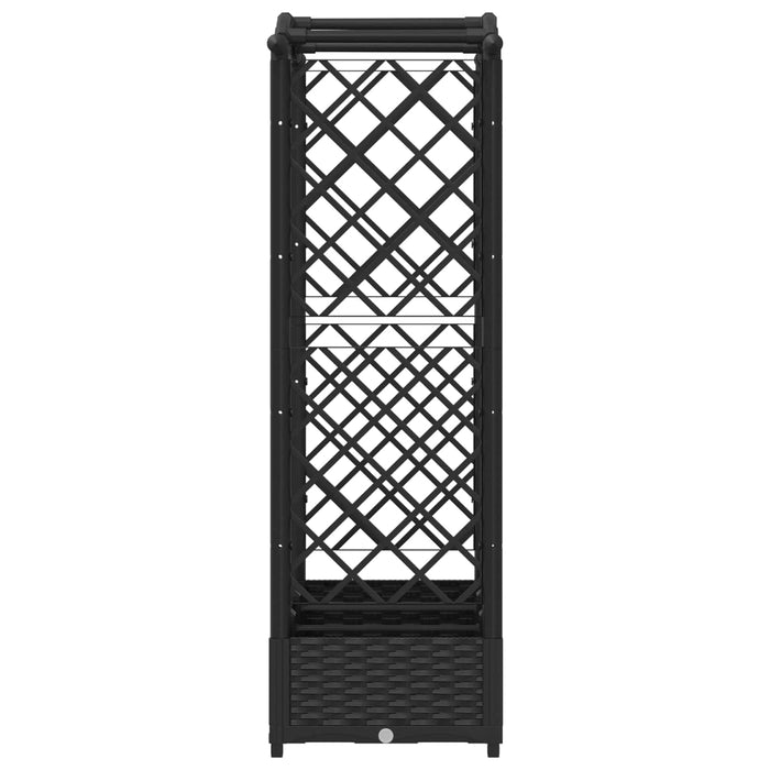 Pat Ridicat cu Trellis și Acoperiș Negru 169 x 40 x 125 cm PP WALTI