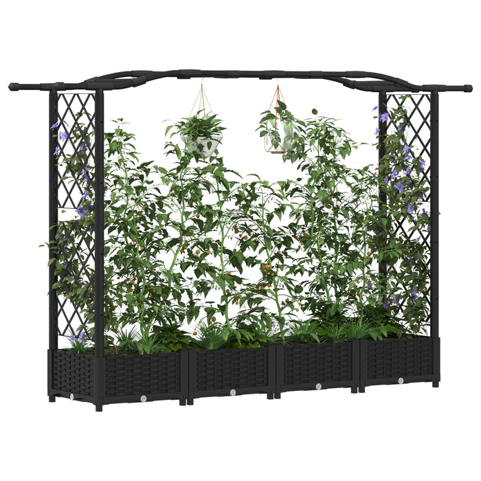 Pat Ridicat cu Trellis și Acoperiș Negru 207 x 40 x 126 cm PP WALTI