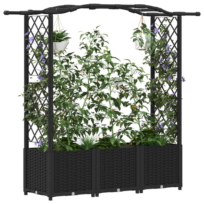 Pat Ridicat cu Trellis și Acoperiș Negru 164 x 40 x 142 cm PP WALTI