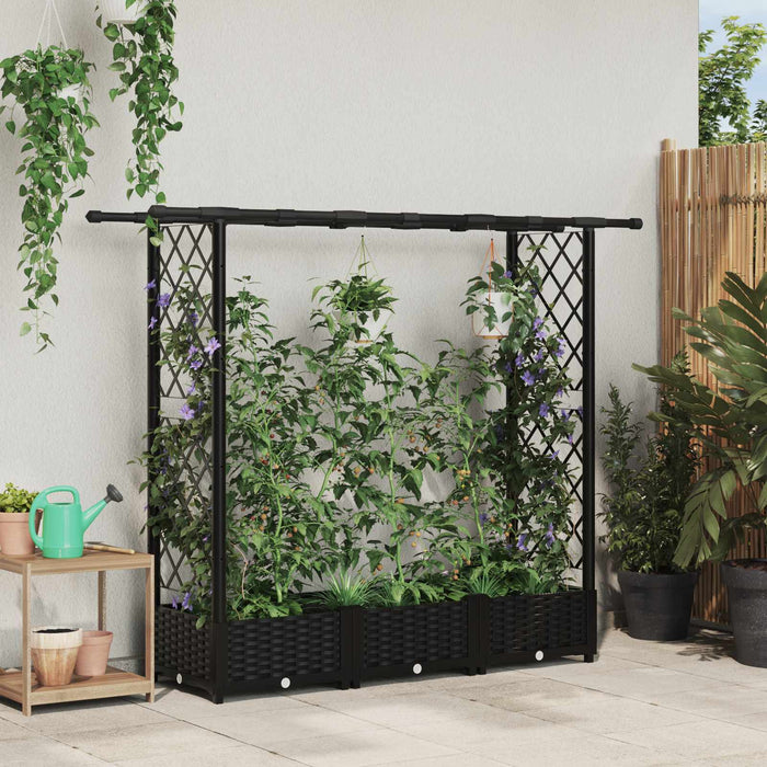 Pat Ridicat cu Trellis și Acoperiș Negru 164 x 40 x 123 cm PP WALTI