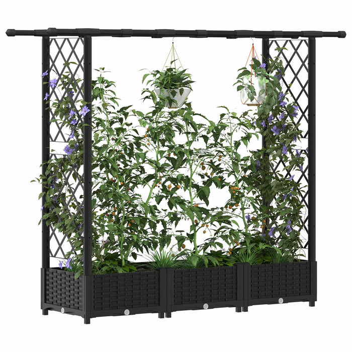 Pat Ridicat cu Trellis și Acoperiș Negru 164 x 40 x 123 cm PP WALTI