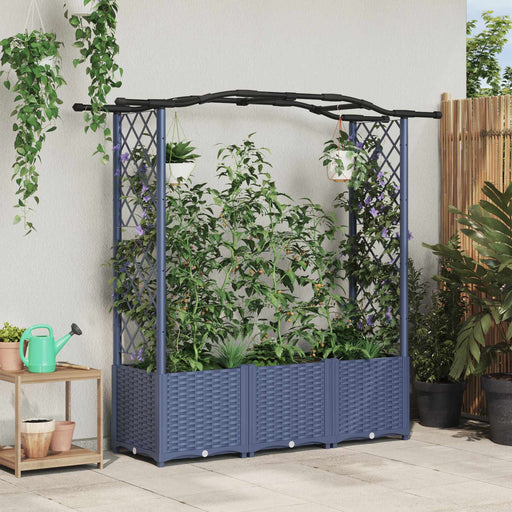 Pat Ridicat cu Trellis și Acoperiș Gri 164 x 40 x 138 cm PP - WALTI WALTI