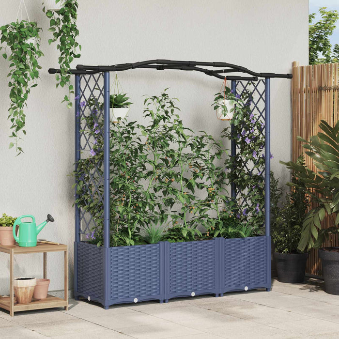 Pat Ridicat cu Trellis și Acoperiș Gri 164 x 40 x 142 cm PP WALTI