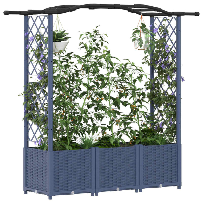 Pat Ridicat cu Trellis și Acoperiș Gri 164 x 40 x 142 cm PP WALTI