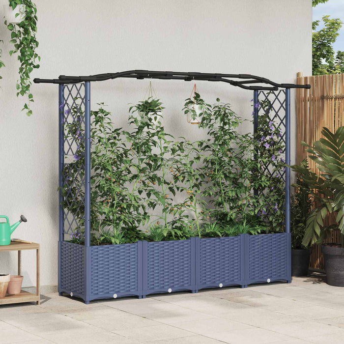 Pat Ridicat cu Trellis și Acoperiș Gri 204 x 40 x 141 cm PP WALTI