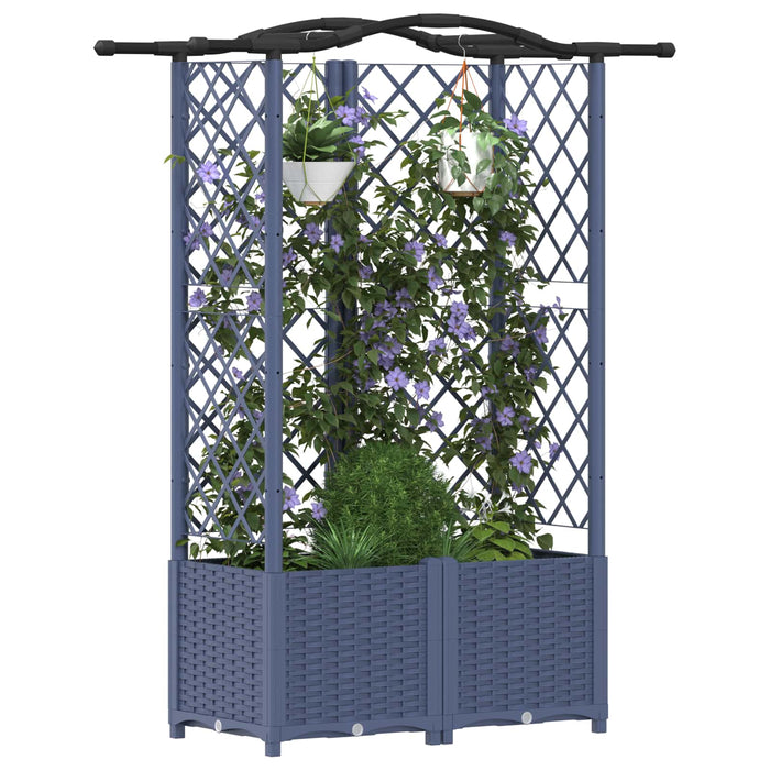 Pat Ridicat cu Trellis și Acoperiș Gri 122 x 40 x 141 cm PP WALTI