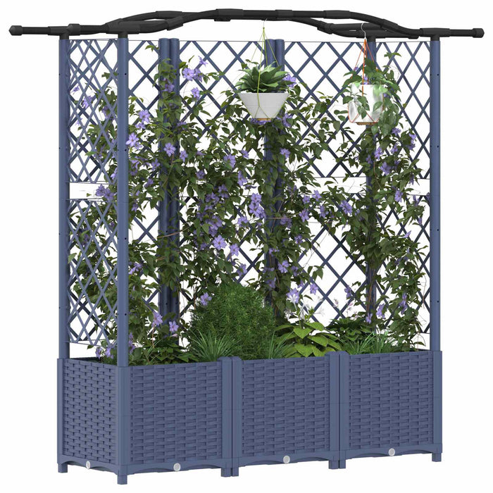 Pat Ridicat cu Trellis și Acoperiș Gri 163 x 40 x 141 cm PP WALTI