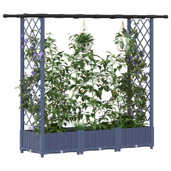 Pat Ridicat cu Trellis și Acoperiș Gri 164 x 40 x 123 cm PP WALTI